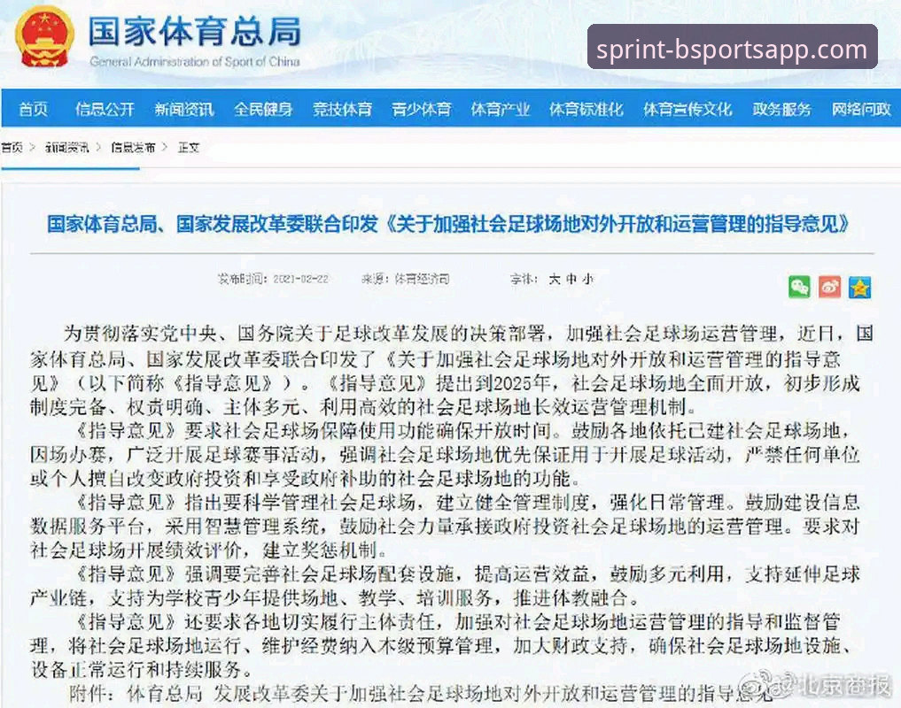 B体育平台2025新版深度评测：从安装到登录的全面分析与体验报告